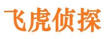 澄城外遇调查取证